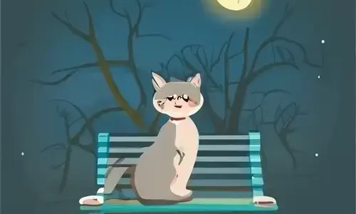 chat